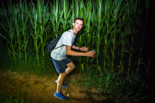 DAN 2018